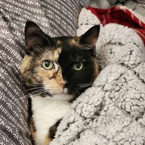 Meet your Posher, Lori